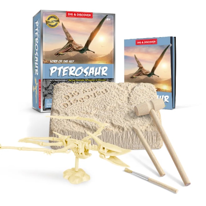 Set Educational Pterosaur- Excaveaza si Descopera Lumea Dinozaurilor - imagine 3