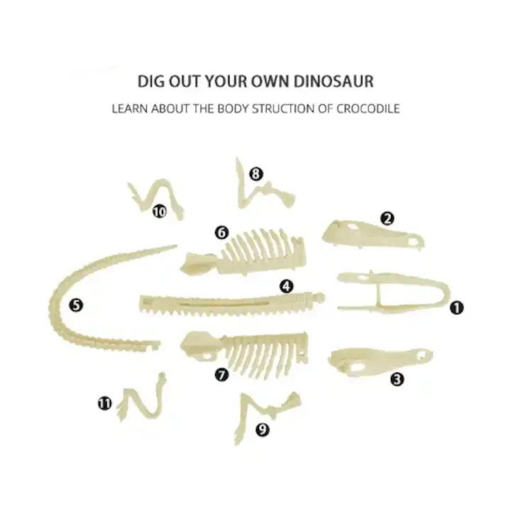Set Educational Crocodile- Excaveaza si Descopera Lumea Dinozaurilor - imagine 5