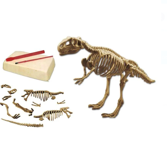 Set excavare Fosile de Dinozaur