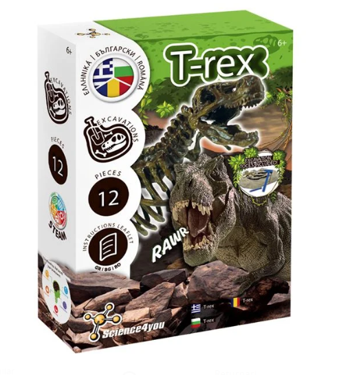 Set Excavare Fosile de Dinozauri